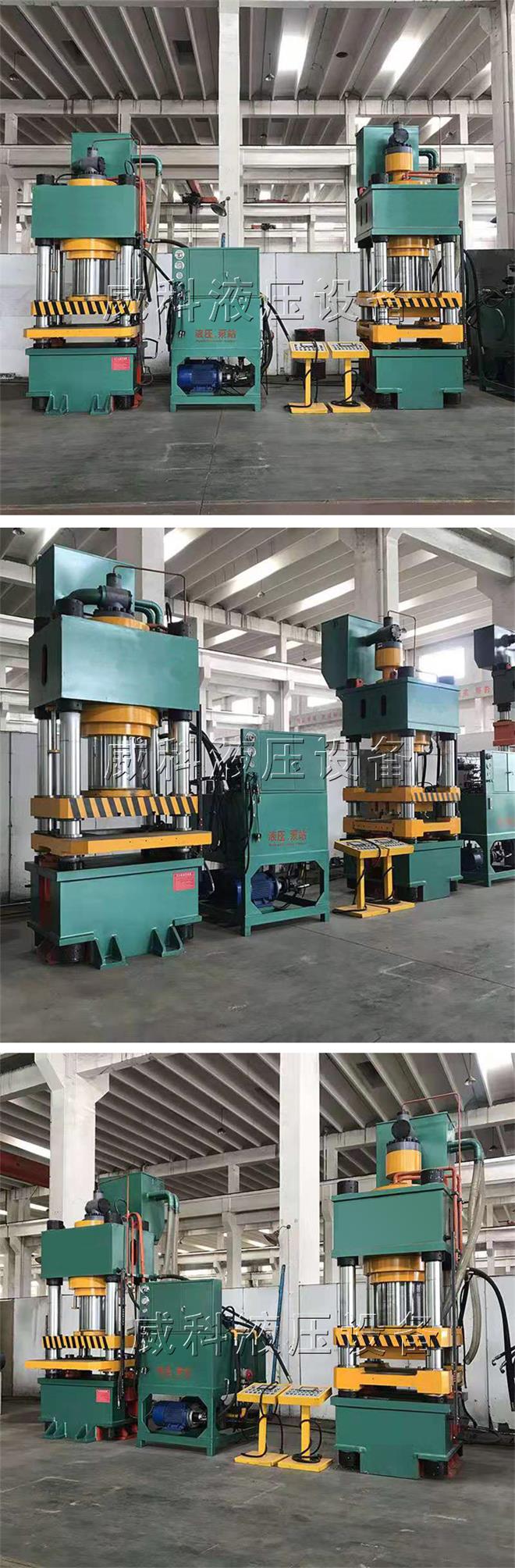 定製生產雙色魚餌壓（yā）塊液壓機